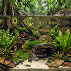 Aquarium Cave with Integrated Clam Shell Hide – 3D Printed Rock Texture Decor for Fish Tanks, Aquascapes, and Reptile Terrariums - PhD Aqua Fabrication