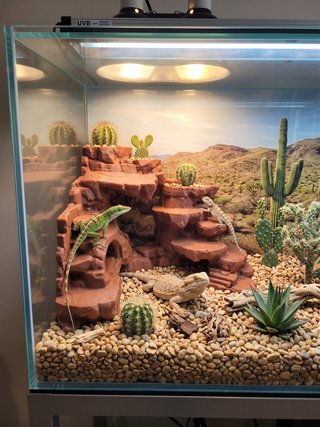 Terrarium Background Wall – 3D Rock Decoration for Aquascaping (Custom Dimensions), NOV-CUTCAN-BR-L, NOV-CUTCAN-BE-L, NOV-CUTCAN-GY-L, NOV-CUTCAN-WH-L