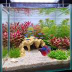 3D Printed Terrarium Reptile and Fish Cave | Natural Desert Rock Hideout - "Three Ways Home" Model - PhD Aqua Fabrication
