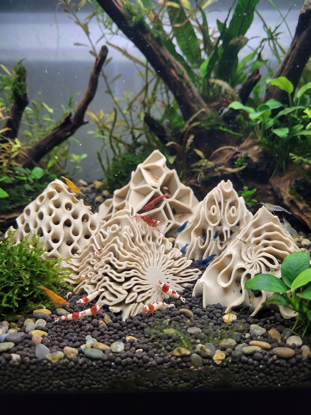 Shrimp Hide Pyramids 3D Printed - 5 Unique Aquarium Cave Designs, Shrimplet Breeding Decor - Custom Sizing Available - PhD Aqua Fabrication