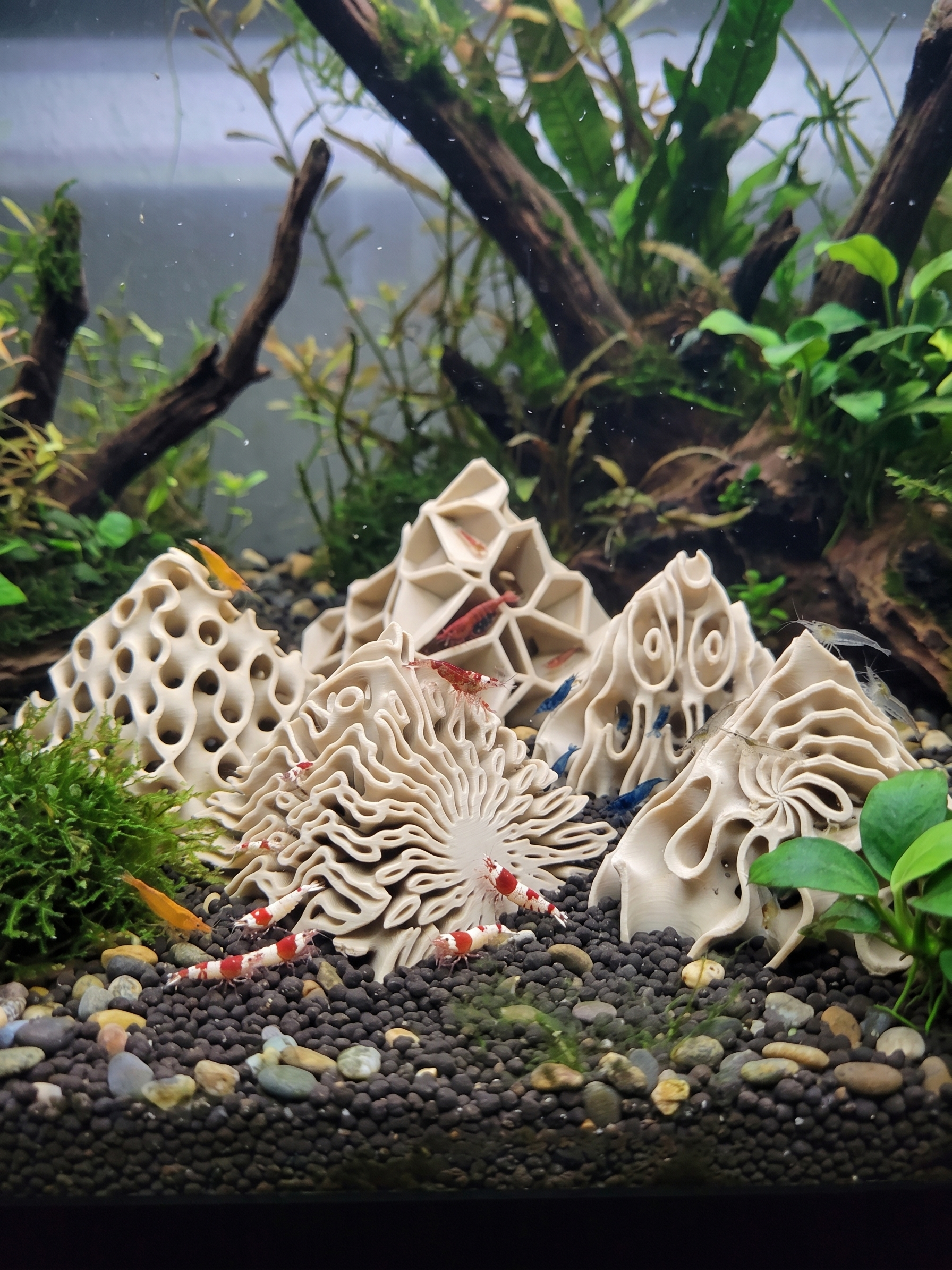 Shrimp Hide Pyramids 3D Printed - 5 Unique Aquarium Cave Designs, Shrimplet Breeding Decor - Custom Sizing Available - PhD Aqua Fabrication