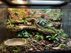 Terrarium Background Wall Cliff - Customizable - Rock Ledge Shelf for Reptiles, Amphibians, Invertebrates - "Outdoor Terrasse" Model - PhD Aqua Fabrication