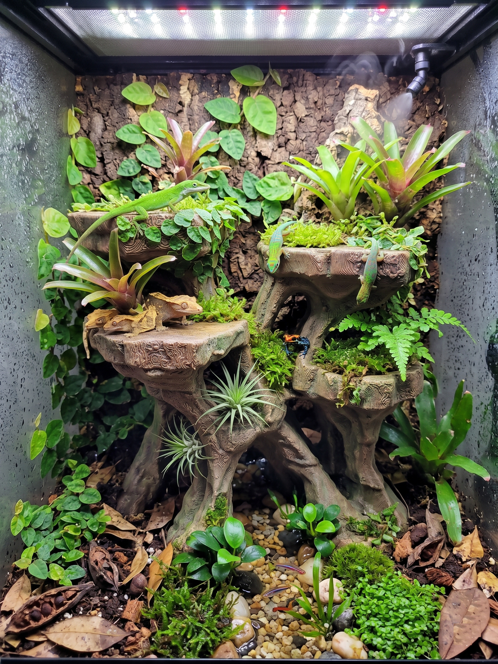 Terrarium Background - Multi-Level Reptile Basking Platform & Planter - Tank Decor for Leopard Geckos, Crested Geckos, and Amphibians - "Plateau Aplenty" Model - PhD Aqua Fabrication