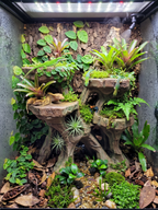 Terrarium Background - Multi-Level Reptile Basking Platform & Planter - Tank Decor for Leopard Geckos, Crested Geckos, and Amphibians - "Plateau Aplenty" Model - PhD Aqua Fabrication