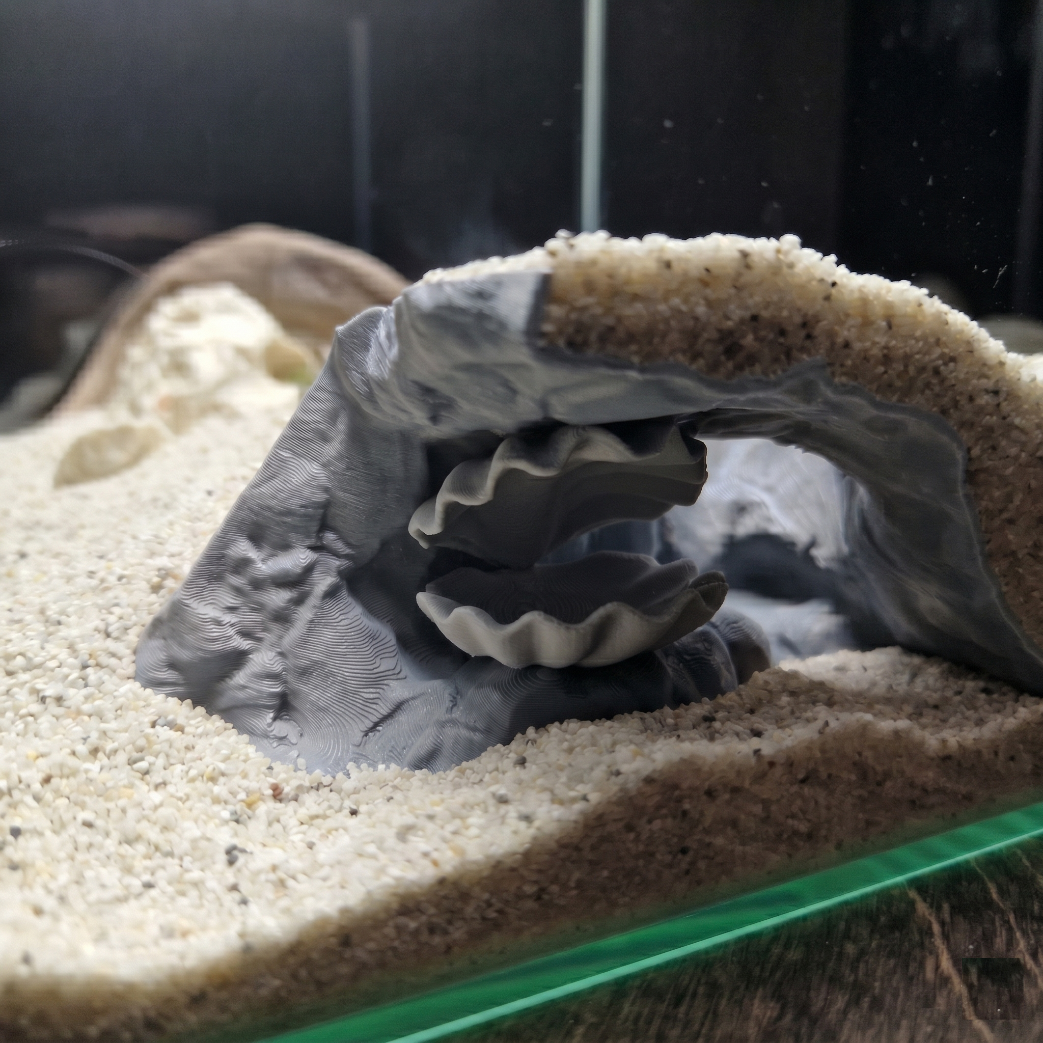 Aquarium Cave with Integrated Clam Shell Hide – 3D Printed Rock Texture Decor for Fish Tanks, Aquascapes, and Reptile Terrariums - PhD Aqua Fabrication