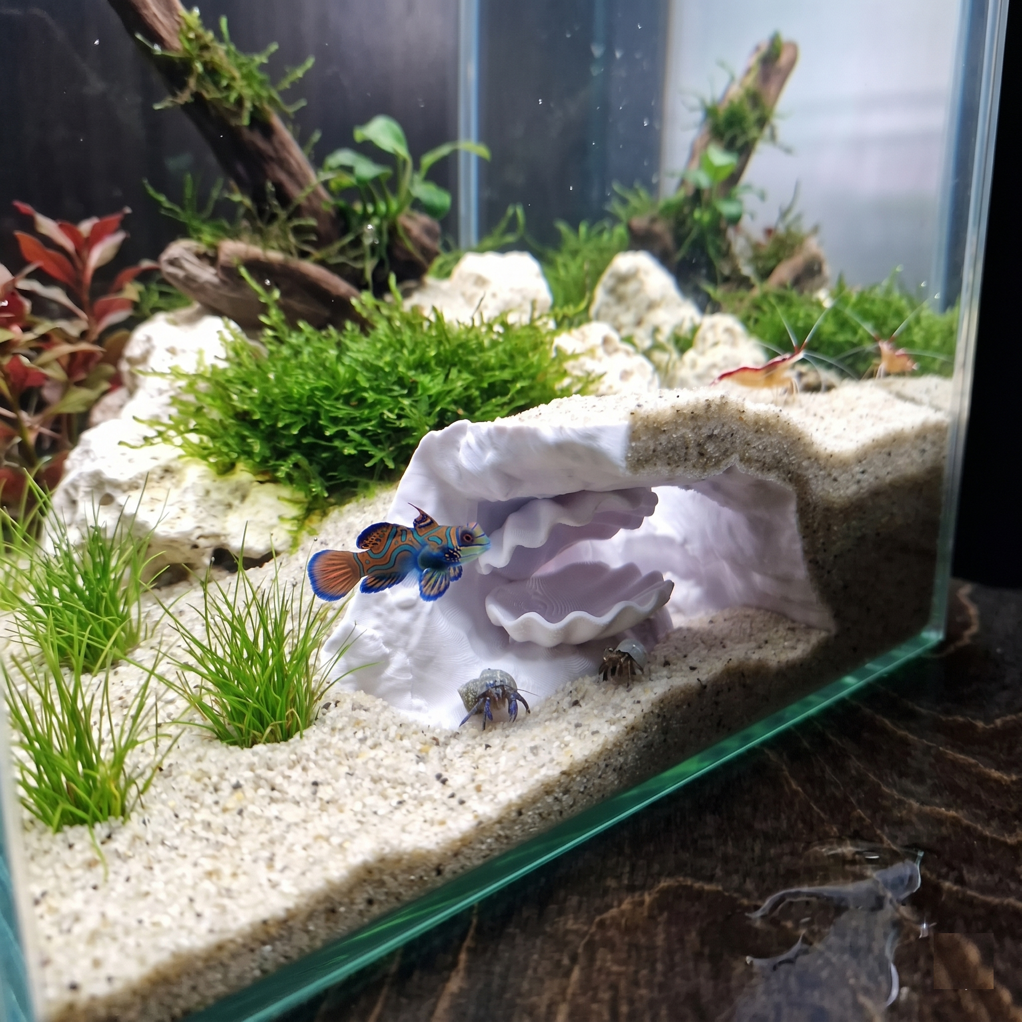 Aquarium Cave with Integrated Clam Shell Hide – 3D Printed Rock Texture Decor for Fish Tanks, Aquascapes, and Reptile Terrariums - PhD Aqua Fabrication
