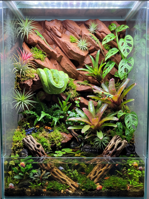 3D Printed Realistic Rock Terrarium Background – Arid & Tropical Decor – Customizable Rock Wall for Bioactive Vivariums