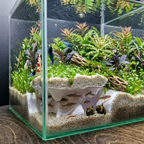 Terrarium Cave & Aquarium Tunnel | 3D Printed Under-Sand Hide for Aquascaping, Cichlids, Shrimp, and Reptiles - "Corner Office" Model - PhD Aqua Fabrication