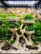 Terrarium Background - Multi-Level Reptile Basking Platform & Planter - Tank Decor for Leopard Geckos, Crested Geckos, and Amphibians - "Plateau Aplenty" Model - PhD Aqua Fabrication
