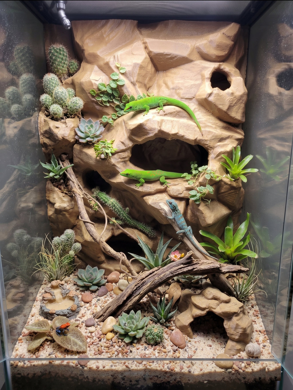 Terrarium Background Wall – 3D Rock Wall for Terrascaping and Aquascaping (Custom Dimensions), NOV-HOLYWA-BR-L, NOV-HOLYWA-BE-L, NOV-HOLYWA-GY-L, NOV-HOLYWA-WH-L