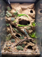 Terrarium Background Wall – 3D Rock Wall for Terrascaping and Aquascaping (Custom Dimensions), NOV-HOLYWA-BR-L, NOV-HOLYWA-BE-L, NOV-HOLYWA-GY-L, NOV-HOLYWA-WH-L
