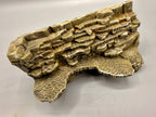 Terrarium Background Wall Cliff - Customizable - Rock Ledge Shelf for Reptiles, Amphibians, Invertebrates - "Outdoor Terrasse" Model - PhD Aqua Fabrication