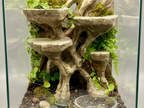 Terrarium Background - Multi-Level Reptile Basking Platform & Planter - Tank Decor for Leopard Geckos, Crested Geckos, and Amphibians - "Plateau Aplenty" Model - PhD Aqua Fabrication
