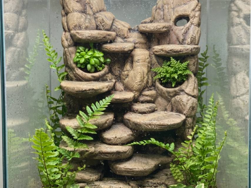 Customizable Terrarium Background Wall – 3D Rock Wall with Cave Hides and Ledge Basking Areas for Terrascaping and Aquascaping - "Hides and Hotspots" Model - PhD Aqua Fabrication