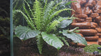 Terrarium Background Wall – 3D Aquarium Rock Wall for Terrascaping and Aquascaping - Customizable Sizing - "Big Pile Of Rocks" Model
