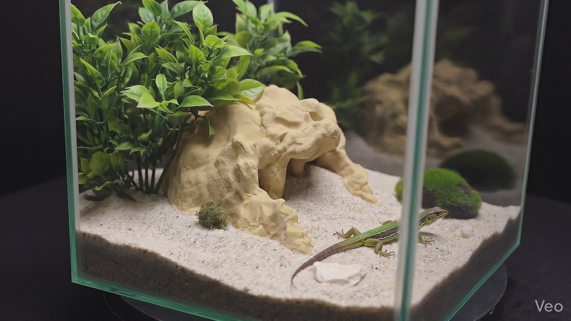3D Printed Terrarium Reptile and Fish Cave | Natural Desert Rock Hideout - "Three Ways Home" Model