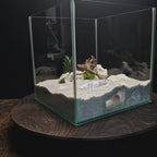 3D Printed Terrarium Cave – Rock Hideout for Terrarium, Aquarium - Customizable Sizing - "Offset Chamber" Model