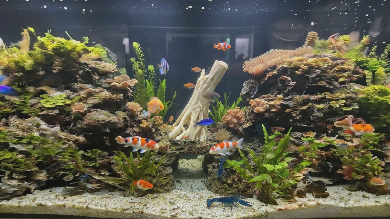 Mangrove Root Aquarium Driftwood - 3D Printed Tree Root for Terrarium - Aquascape Wood - "Mangrove Driftwood Root" Model