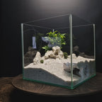 3D Printed Aquascape Cave – Multi-Chamber Reptile Hiding, Fish Shelter - "Take Your Pick" Model