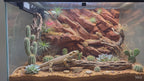 3D Printed Realistic Rock Terrarium Background – Arid & Tropical Decor – Customizable Rock Wall for Bioactive Vivariums
