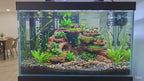 Customizable Terrarium Background Wall – 3D Rock Decoration for Aquascaping - "Cutaway Canyon" Model
