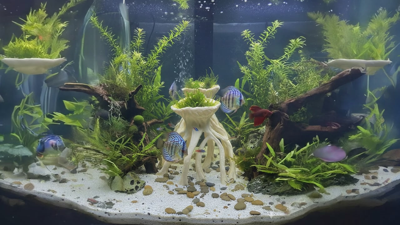 Aquarium Wood Decor | “Mangrove Root Planters” | 3D Printed Mangrove Roots also for Terrarium Kit