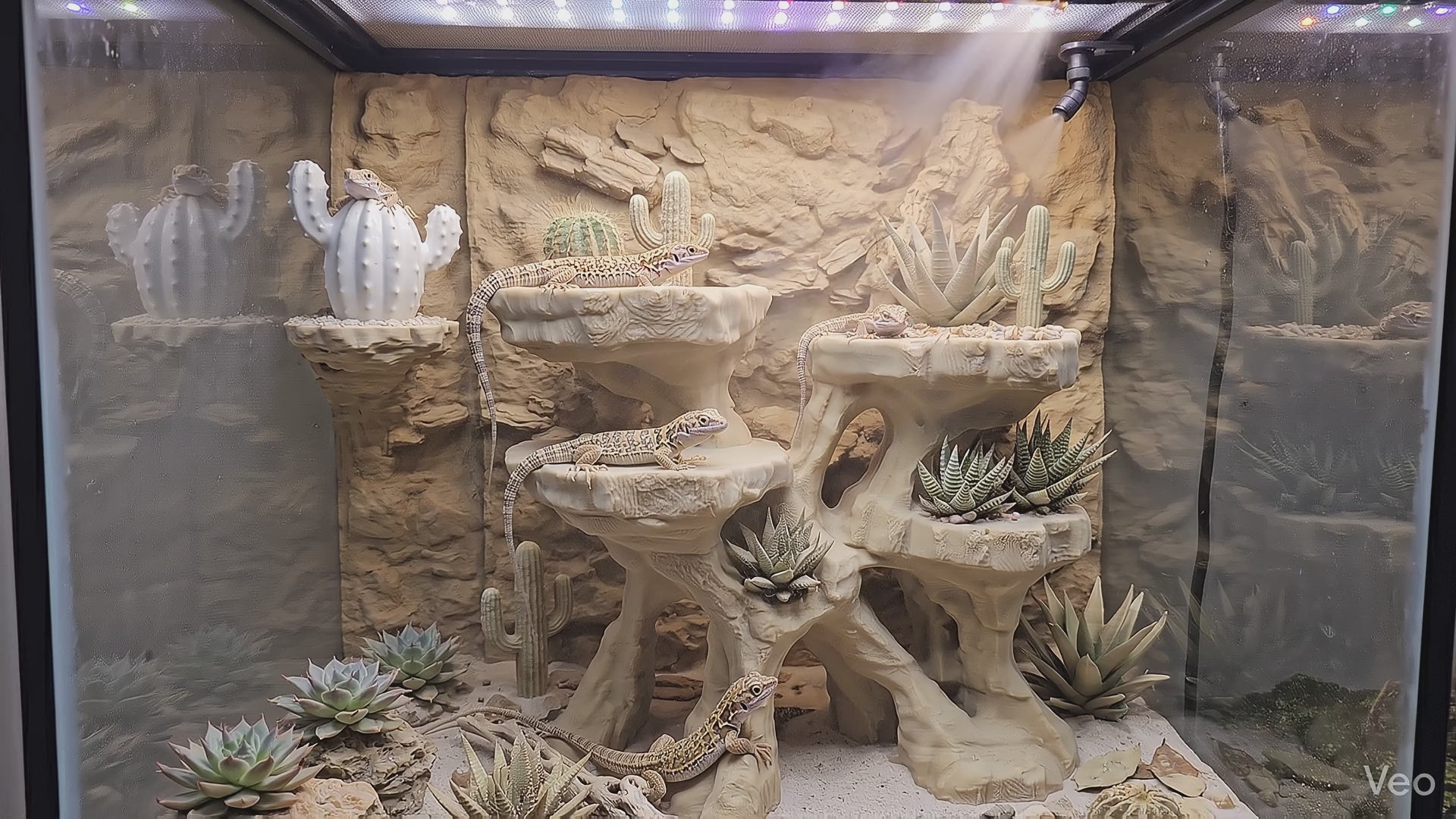 Terrarium Background - Multi-Level Reptile Basking Platform & Planter - Tank Decor for Leopard Geckos, Crested Geckos, and Amphibians - "Plateau Aplenty" Model
