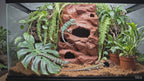 Terrarium Background Wall – 3D Rock Wall for Terrascaping and Aquascaping - Customizable Sizing - "Holey Wall" Model