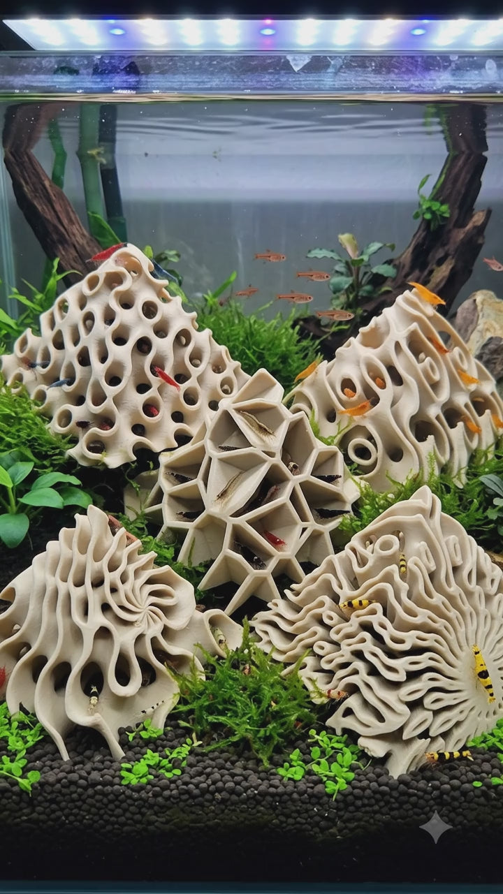 Shrimp Hide Pyramids 3D Printed - 5 Unique Aquarium Cave Designs, Shrimplet Breeding Decor - Custom Sizing Available