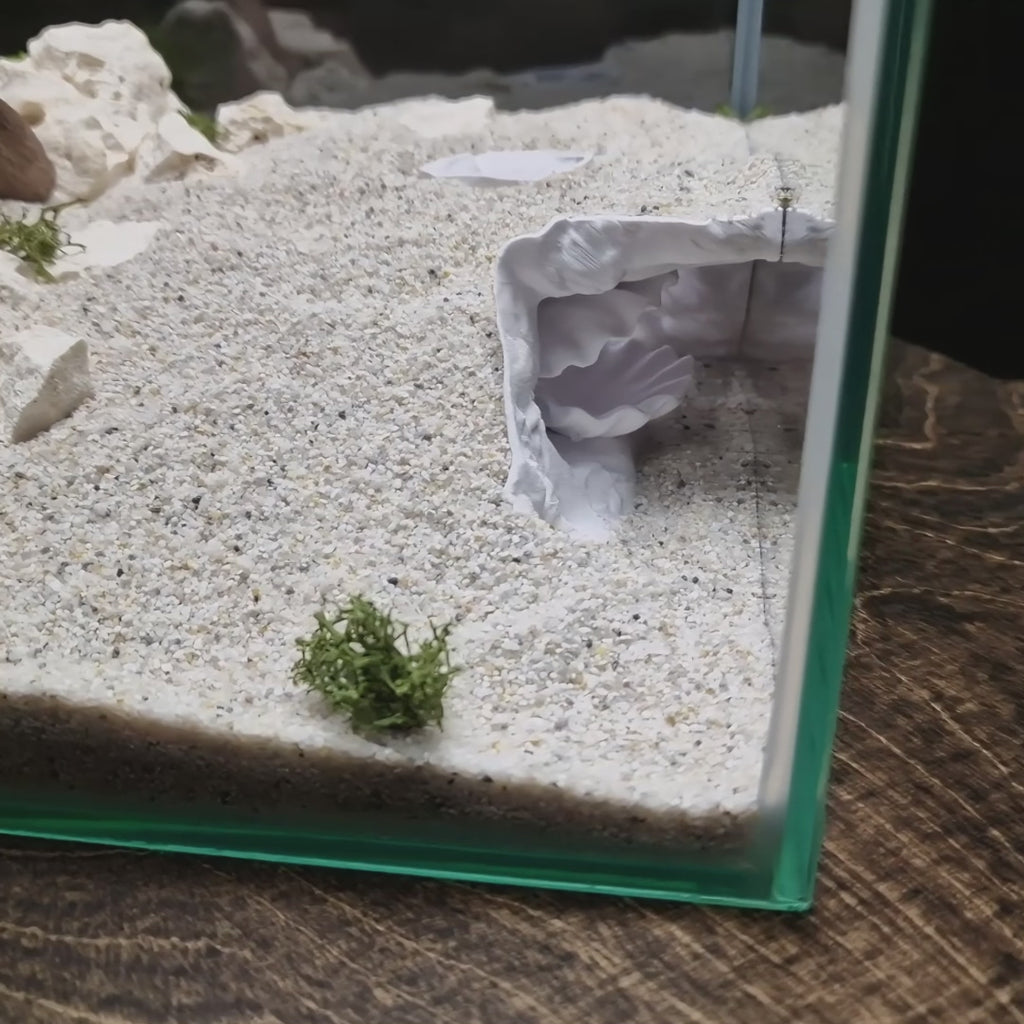 Aquarium Cave with Integrated Clam Shell Hide – 3D Printed Rock Texture Decor for Fish Tanks, Aquascapes, and Reptile Terrariums - "Hidden Shell" Model