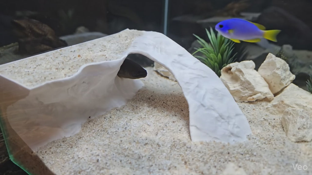 Turtle Basking Platform - Above Tank Resting Area - Dock & Loft Aquarium Decor - "Tidal Basking" Mode