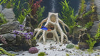Aquarium Wood Decor Red Mangrove Caves - 3D Printed Natural Root Hideout for Fish & Shrimp - "Red Mangrove Caves" Model