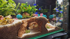 Aquarium Cave Decor - 3D Printed Rock Feature Hideout for Betta & Shrimp - Natural Stone Look Fish Tank Ornament - "Which Way" Model