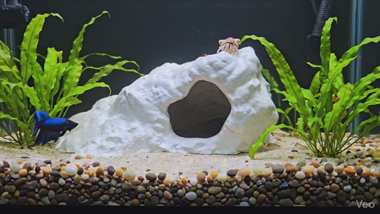Brackish Den - Aquarium Decor Cave | Single Entrance Fish, Reptile, Shrimp Hide for Terrarium Kits