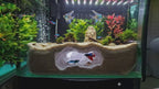 Aquarium Cave Decor - Natural Look Stone Hideout - 3D Printed Terrarium & Aquascape Ornament - "No One Home" Mode