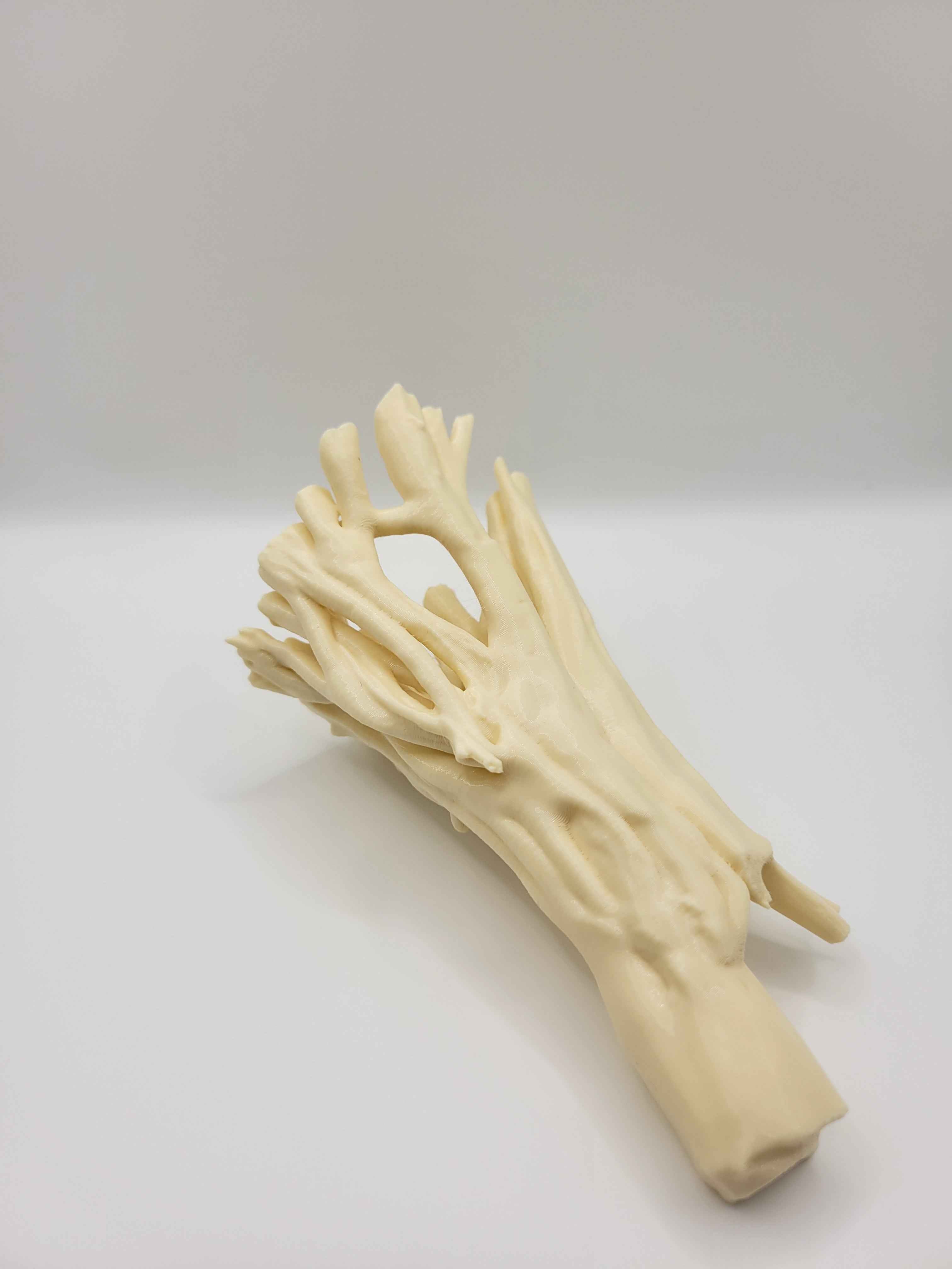 Mangrove Root Aquarium Driftwood - 3D Printed Tree Root for Reptile Terrarium, Realistic Aquascape Wood - "Mangrove Driftwood Root"
