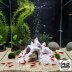 Aquarium Decor Cave Multiple Entrance Rock Feature - Fish Tank Hideout for Cichlids & Plecos - Large Reptile Terrarium Rock Ornament, AQU-HADALR-WH-L, AQU-HADALR-BR-L, AQU-HADALR-BE-L