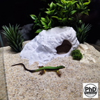 Aquarium Decor Cave - 3D Printed Fish Hide - Single Entrance Rock Den for Betta & Axolotl - Natural Look Fish Tank & Terrarium Ornament