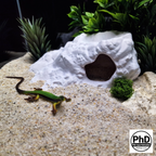 Aquarium Decor Cave - 3D Printed Fish Hide - Single Entrance Rock Den for Betta & Axolotl - Natural Look Fish Tank & Terrarium Ornament
