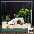 Aquarium Decor Cave - 3D Printed Fish Hide - Single Entrance Rock Den for Betta & Axolotl - Natural Look Fish Tank & Terrarium Ornament, AQU-BRACKD-WH-L, AQU-BRACKD-BE-L, AQU-BRACKD-BR-L