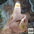 Aquarium Cave Underground Tunnel Hiding Spot - 3D Printed Rock Hide for Fish Shrimp Axolotl - Modular Fish Tank Decor