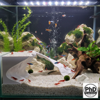 Large Turtle Basking Platform & Above Tank Basking Area for Aquatic Turtles - Heavy Duty Turtle Dock & Basking Loft for 20-75 Gallon Tanks - Non-Slip Ramp Reptile Tank Accessories & Aquarium Decor, AQU-TIDBAS-WH-L, AQU-TIDBAS-BE-L, AQU-TIDBAS-BR-L, AQU-TIDBAS-GN-L