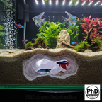 Aquarium Cave Decor - Underground Rock Feature for Fish Tanks - Natural Look Stone Hideout - 3D Printed Terrarium & Aquascape Ornament, AQU-NOONEH-BR-L, AQU-NOONEH-WH-L, AQU-NOONEH-BE-L