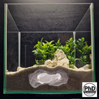 Aquarium Cave Decor - Underground Rock Feature for Fish Tanks - Natural Look Stone Hideout - 3D Printed Terrarium & Aquascape Ornament