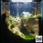 Aquarium Decor Cave - Natural Fish Tank Rock Decoration & Hideout for Shrimp, Betta, Axolotl & Reptiles - Unique Aquascape Accessory for Terrariums
