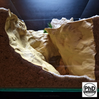 Aquarium Decor Cave - Natural Fish Tank Rock Decoration & Hideout for Shrimp, Betta, Axolotl & Reptiles - Unique Aquascape Accessory for Terrariums