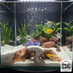 Aquarium Decor Cave - 3D Printed Rock Feature Hideout for Betta & Shrimp - Natural Stone Look Fish Tank Ornament - Terrarium Accessory, AQU-WHIWAY-BR-L, AQU-WHIWAY-WH-L, AQU-WHIWAY-BE-L