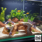 Aquarium Decor Cave - 3D Printed Rock Feature Hideout for Betta & Shrimp - Natural Stone Look Fish Tank Ornament - Terrarium Accessory, AQU-WHIWAY-BR-L, AQU-WHIWAY-WH-L, AQU-WHIWAY-BE-L