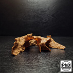 Aquarium Decor Cave - 3D Printed Rock Feature Hideout for Betta & Shrimp - Natural Stone Look Fish Tank Ornament - Terrarium Accessory