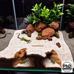 Aquarium Decor Cave - 3D Printed Rock Feature Hideout for Betta & Shrimp - Natural Stone Look Fish Tank Ornament - Terrarium Accessory